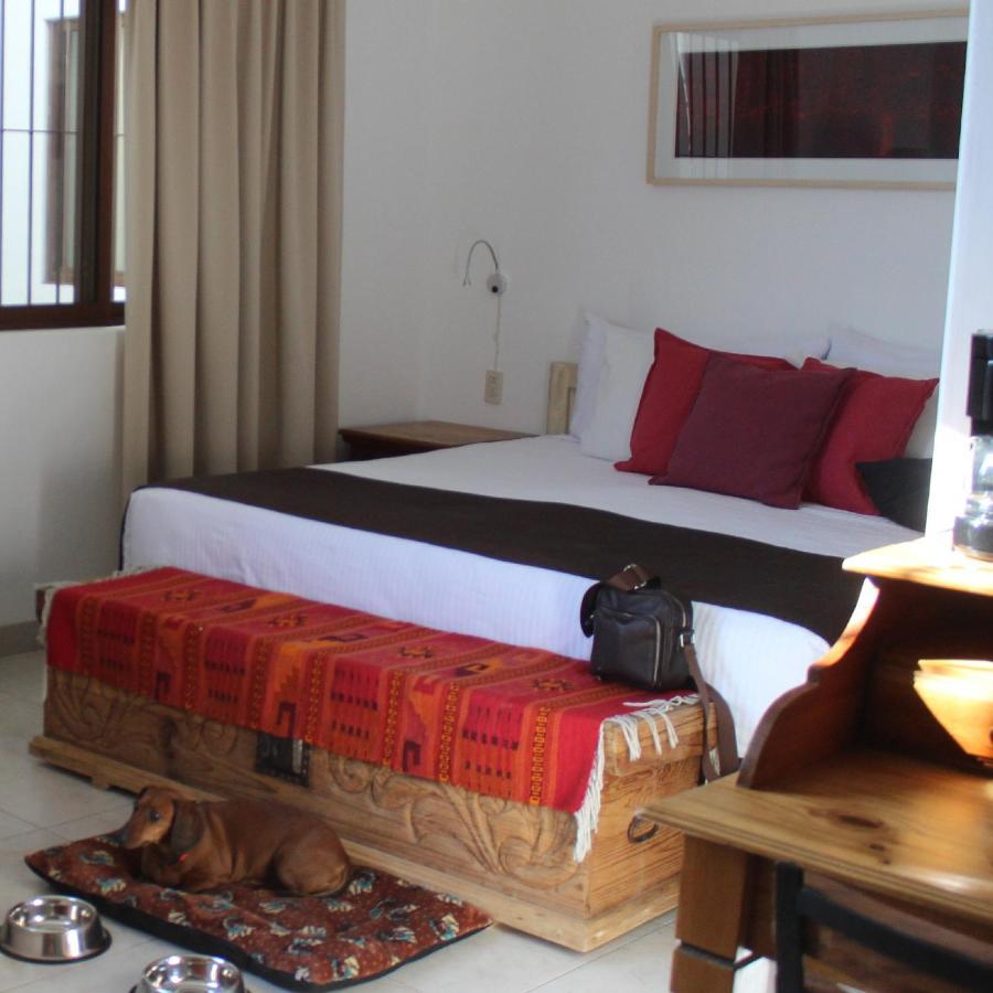 La Cochinilla Hotel Boutique Oaxaca Екстериор снимка