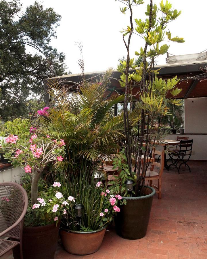 La Cochinilla Hotel Boutique Oaxaca Екстериор снимка
